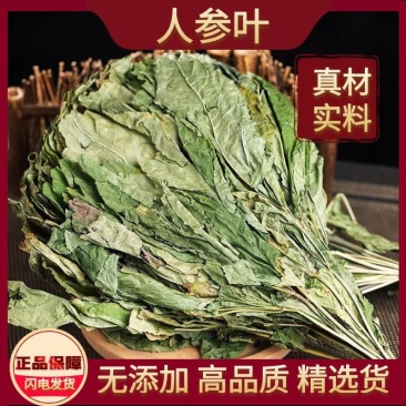 人参叶中药材正品人参叶野生人参叶山参叶移山参药用