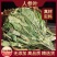 人参叶中药材正品人参叶野生人参叶山参叶移山参药用
