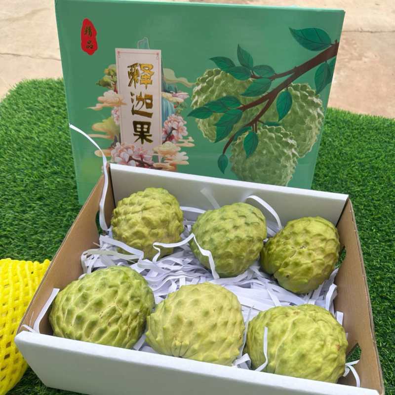 海南凤梨释迦，支持一件代发，顺丰包邮，京东空运加15