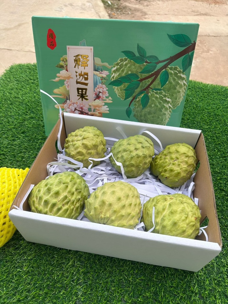 海南凤梨释迦，支持一件代发，顺丰包邮，京东空运加15