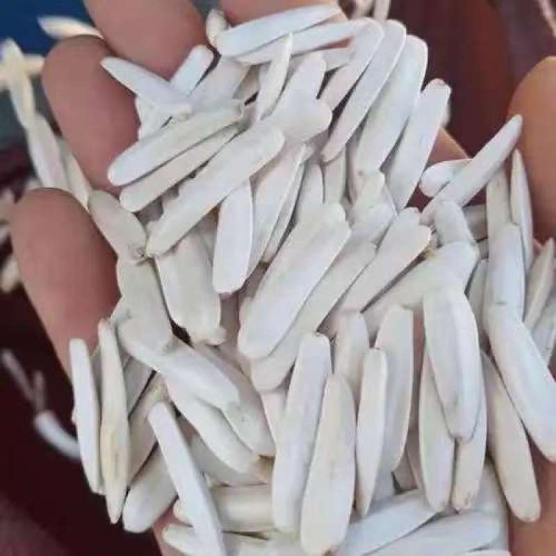 马牙瓜子