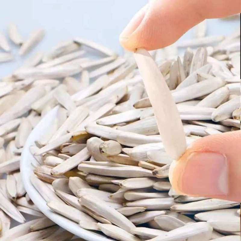 马牙瓜子