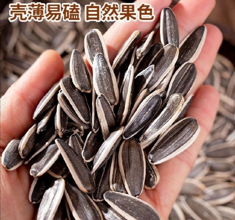 焦糖瓜子电商…厂家直销支持订做各种口味