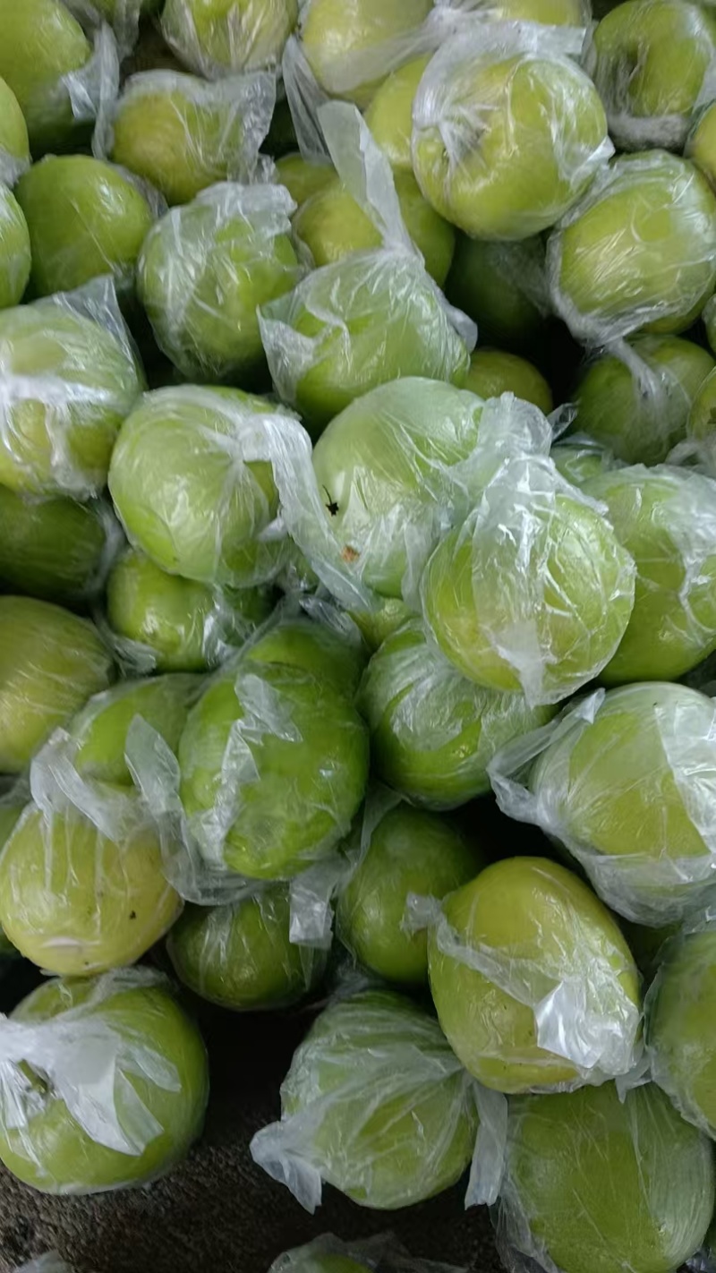 牛奶枣