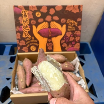 海南精品五里香地瓜，支持一件代发，顺丰包邮