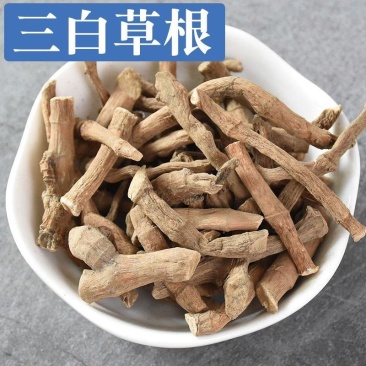 三白草根中药材冷背三白草天性草根百节藕白花莲