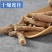 三白草根中药材冷背三白草天性草根百节藕白花莲