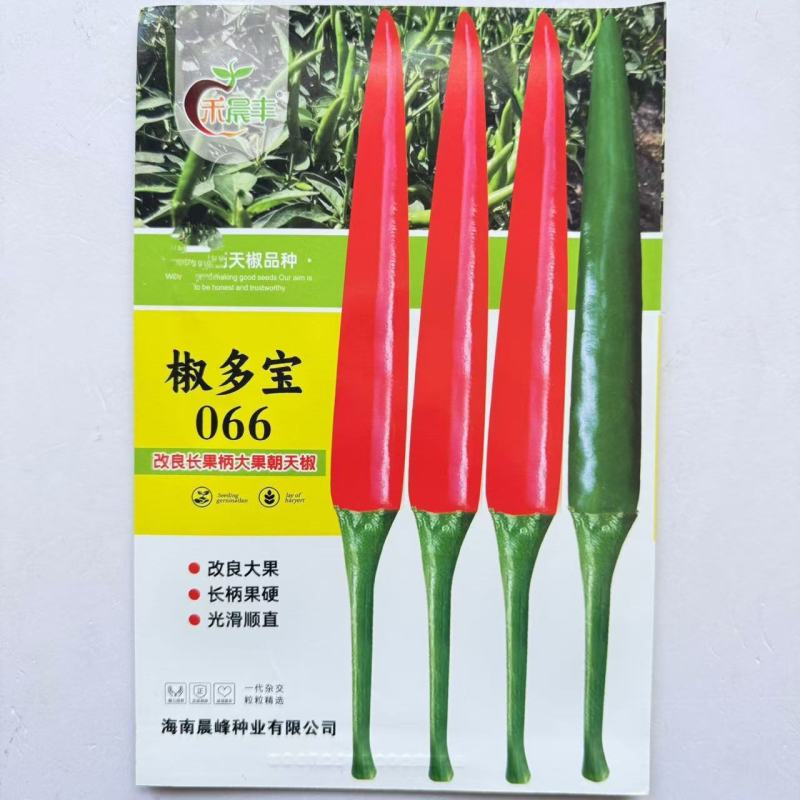 椒多宝066朝天椒种种子改良大果型中早熟熟耐高温耐干旱