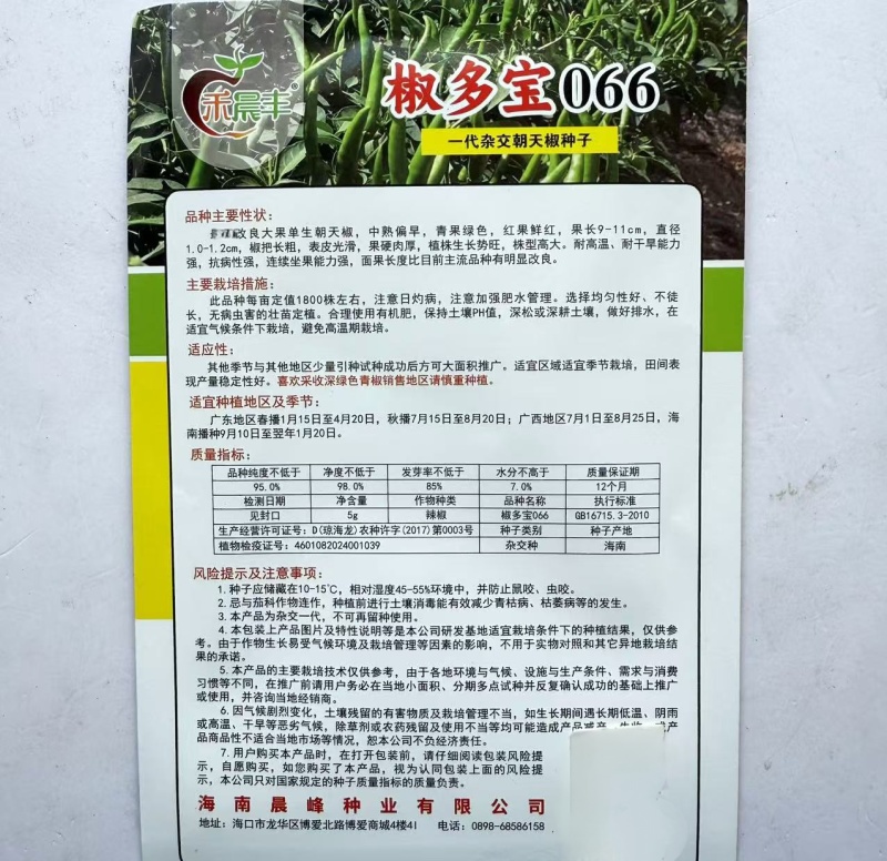 椒多宝066朝天椒种种子改良大果型中早熟熟耐高温耐干旱
