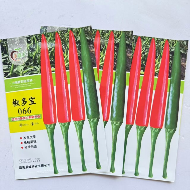 椒多宝066朝天椒种种子改良大果型中早熟熟耐高温耐干旱