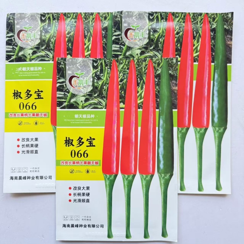 椒多宝066朝天椒种种子改良大果型中早熟熟耐高温耐干旱