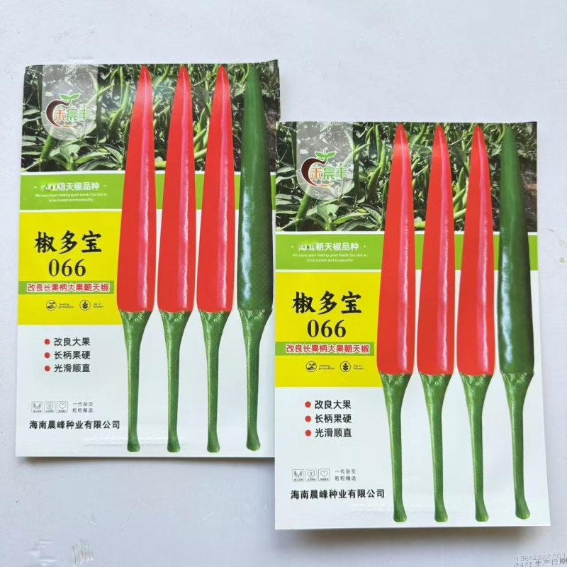 椒多宝066朝天椒种种子改良大果型中早熟熟耐高温耐干旱