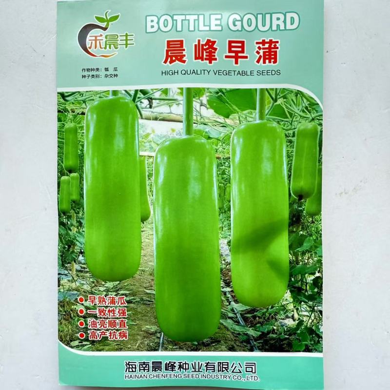 晨峰早蒲瓠瓜种子早熟抗病抗逆性强油亮顺直高产抗病瓠瓜种子