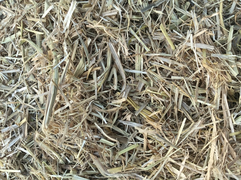 【草场直发】稻草铡段稻草小包网袋大捆五道绳