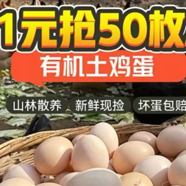 50个鸡蛋一块