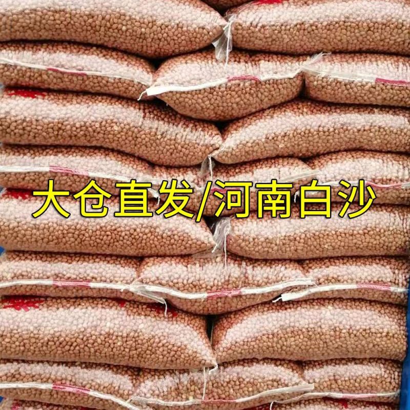 花生米水分9-10无霉变无坏颗粒质量保证全国发货