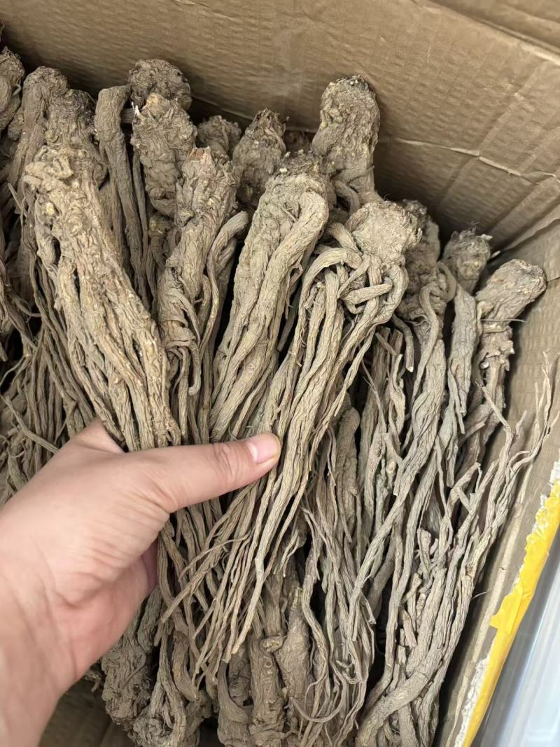 甘肃定西岷县当归