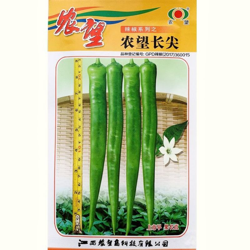 辣泼妇辣椒种子香辣尖椒辣椒种子四季青红椒辣椒籽高产基地种