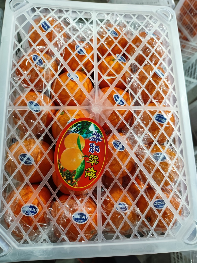 沃柑湖北伦晚脐橙口感脆甜品质保证