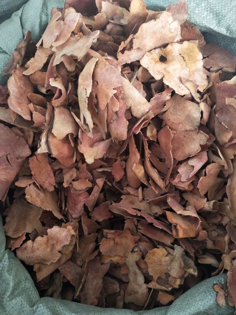 土茯苓中药材正品土茯苓无硫干片康养斋中药材
