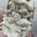 厂家直销新鲜豆腐渣