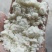 厂家直销新鲜豆腐渣