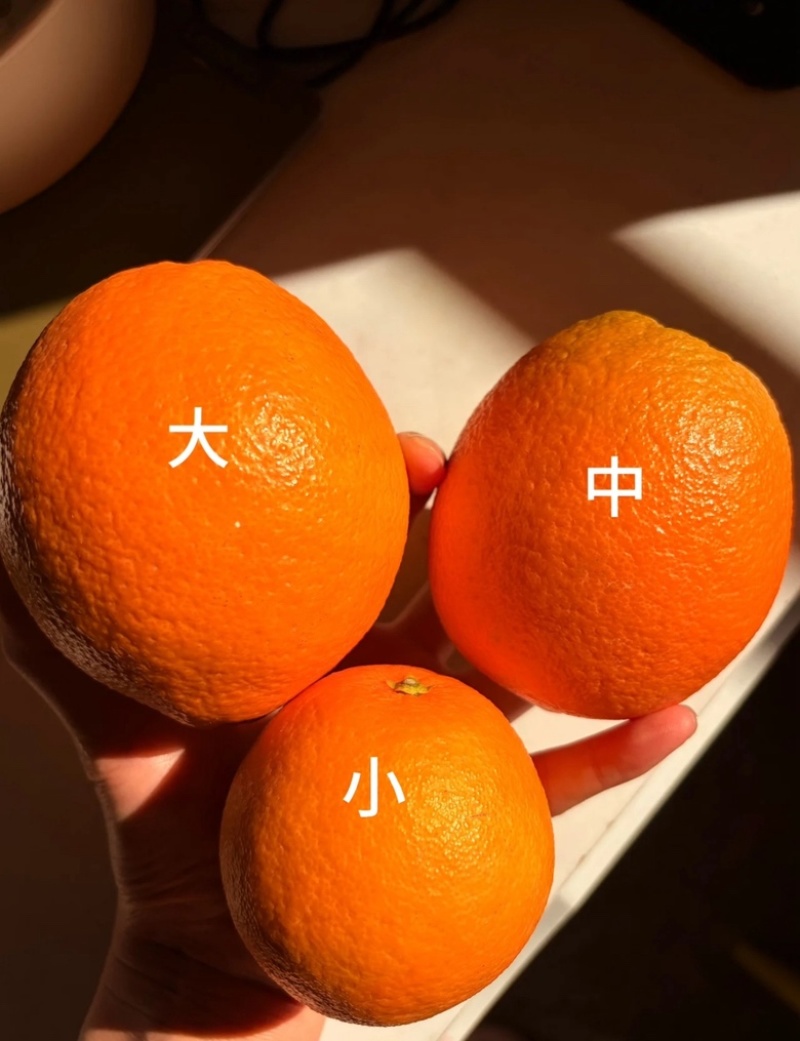 江西赣南脐橙小果尝鲜