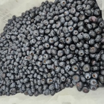 云南花香蓝莓18+等外果量大