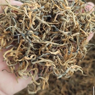 云南滇红茶