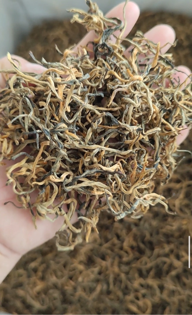 云南滇红茶