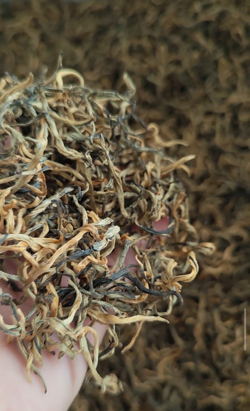 云南滇红茶