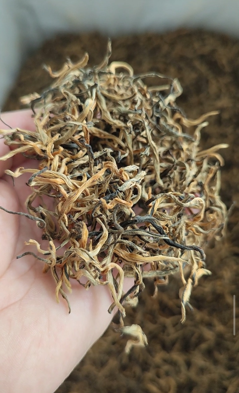 云南滇红茶