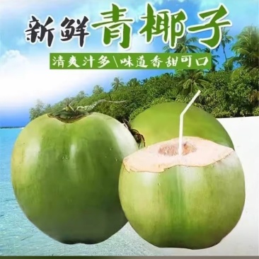 新鲜青椰子，汁多味甜，数量多，支持自提，也可以发物流需要