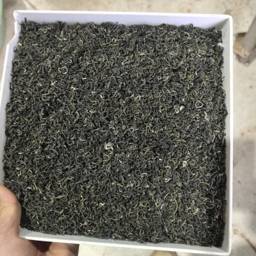高山绿茶
