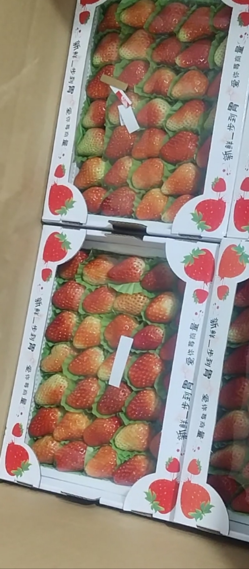 云南玉溪冬草莓，妙香草莓，支持一件代发，定制，全渠道合作