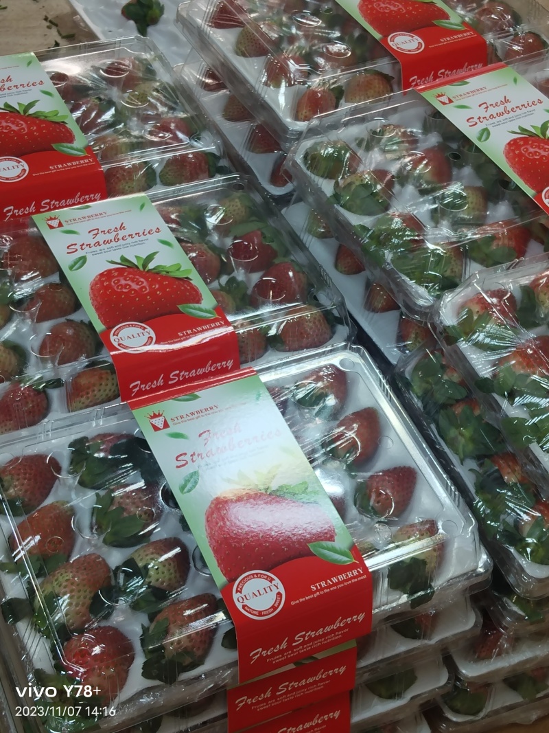 云南玉溪冬草莓，妙香草莓，支持一件代发，定制，全渠道合作