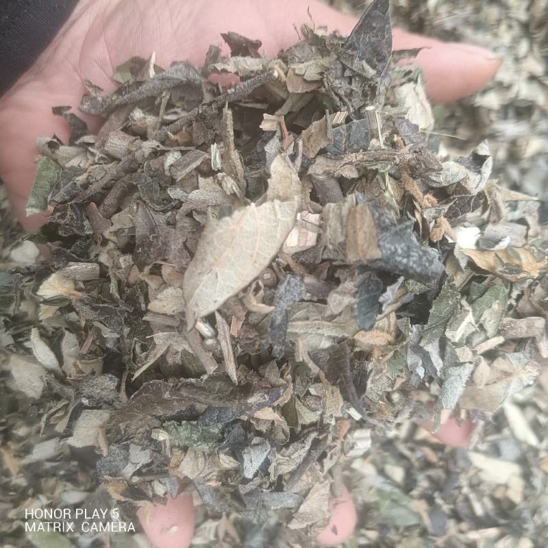 密桶花，来将滕，蜂糖罐又名：蜜糖罐、蜂糖花、蜜桶花、猫花