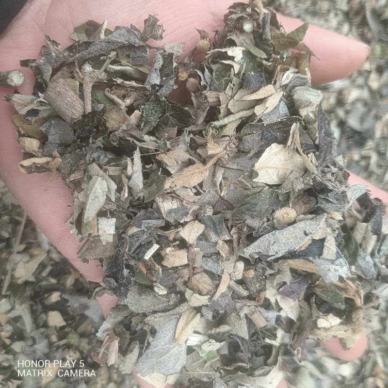密桶花，来将滕，蜂糖罐又名：蜜糖罐、蜂糖花、蜜桶花、猫花