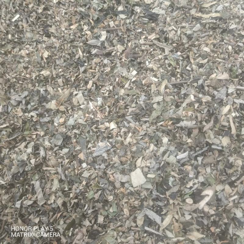 密桶花，来将滕，蜂糖罐又名：蜜糖罐、蜂糖花、蜜桶花、猫花