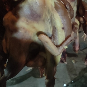 自家腌制太阳晒干干鸡