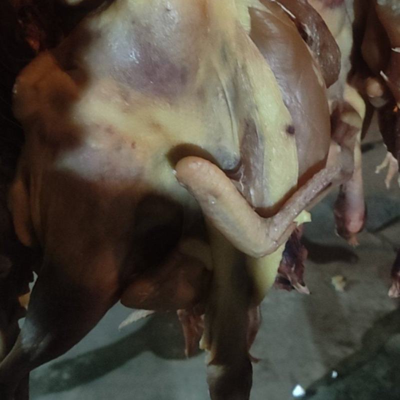 自家腌制太阳晒干干鸡