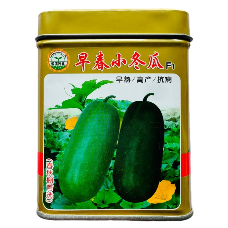 冬瓜春秋大棚均可播种单瓜重4斤左右早春小冬瓜50克