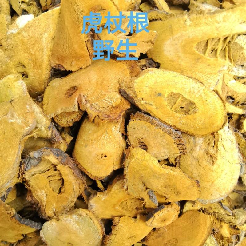 虎杖切片、酸筒杆切片、花斑竹切片、斑杖切片、大叶蛇总切片