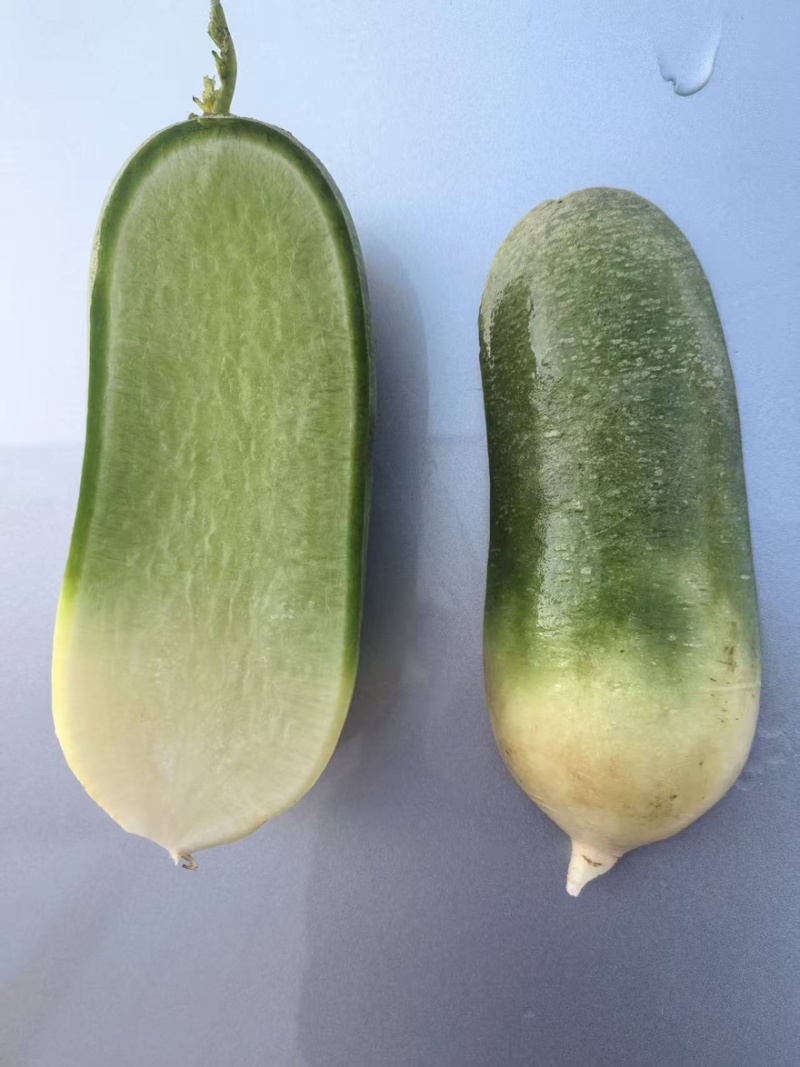 青萝卜湖北天门水果萝卜