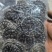 金钱白花蛇中药材批发质量保证量大从优