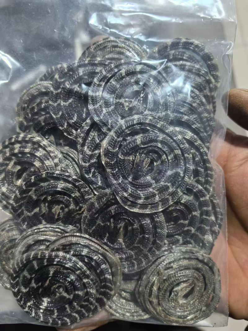 金钱白花蛇中药材批发质量保证量大从优