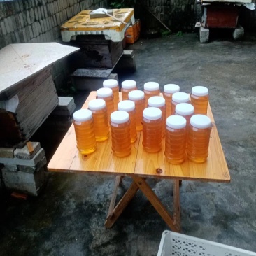 大山蜂蜜