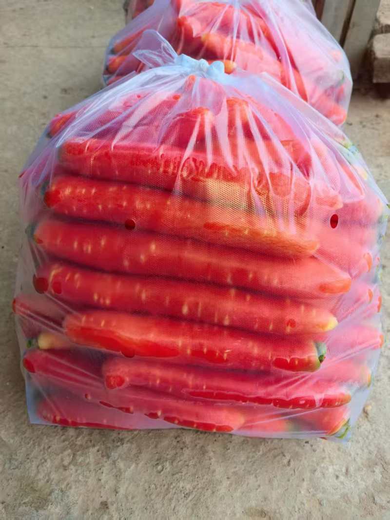 四川精品胡萝卜，大量上市，一手货源，产地直发，欢迎咨询