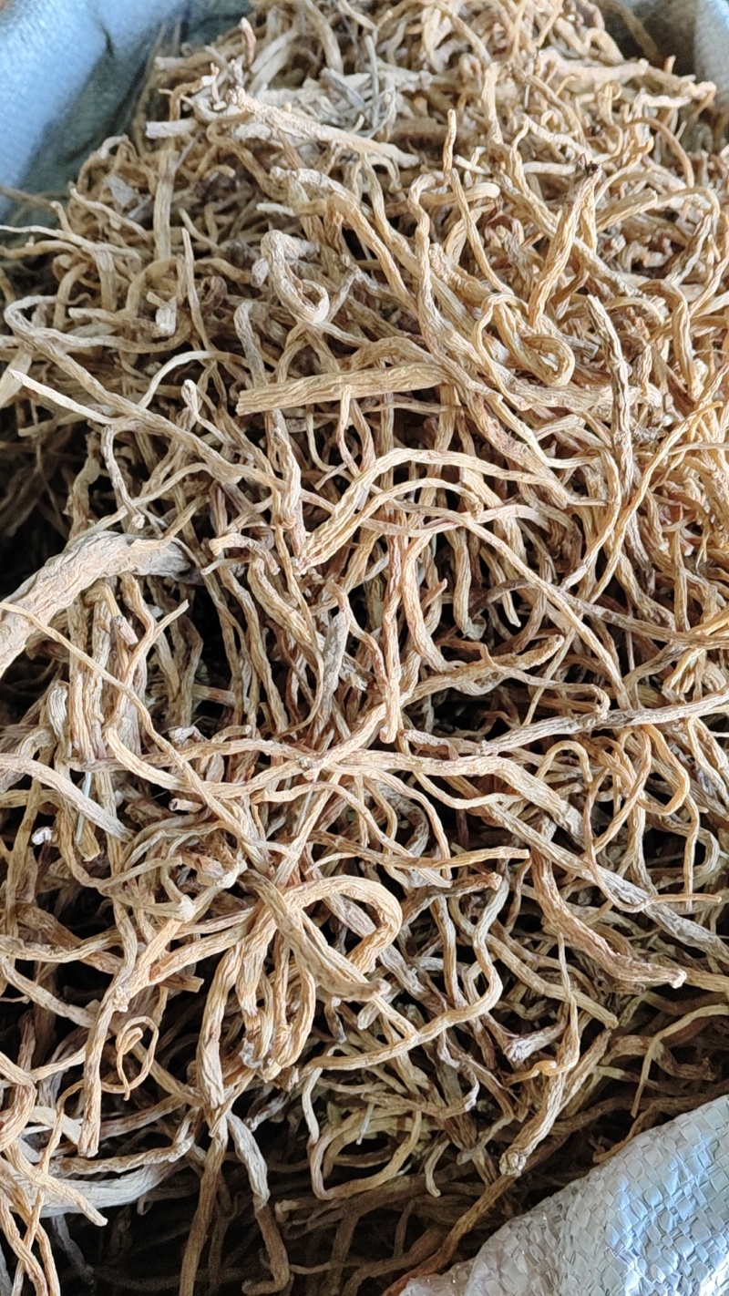 甘肃陇西白条党参药查