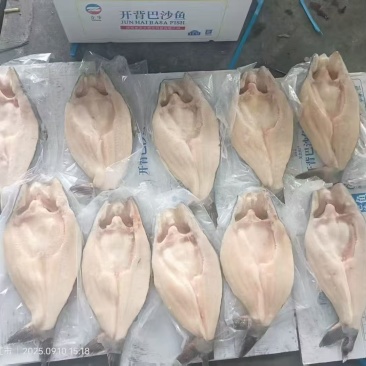 正步国产开背巴沙鱼